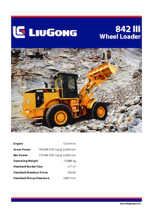Pale gommate Liugong 842 III 