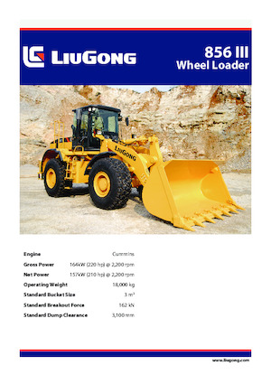 Pale gommate Liugong 856 III 