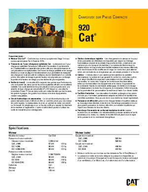 Pale gommate Caterpillar 920