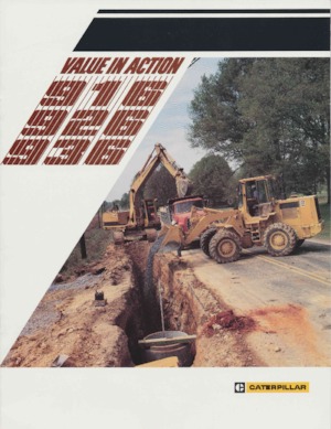 Pale gommate Caterpillar 916