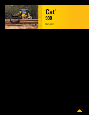 Pale gommate Caterpillar 938