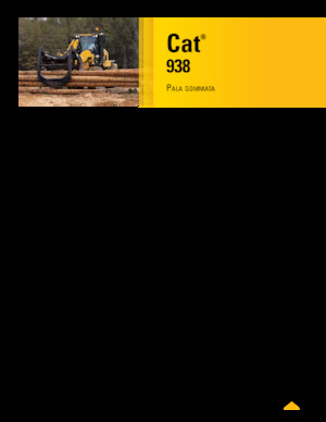 Pale gommate Caterpillar 938