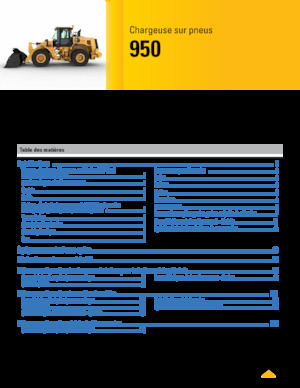 Pale gommate Caterpillar 950