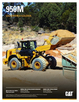 Pale gommate Caterpillar 950M