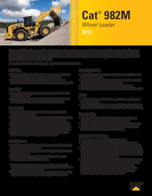 Pale gommate Caterpillar 982M