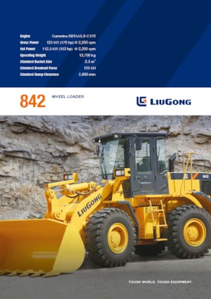 Pale gommate Liugong 842 