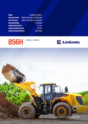 Pale gommate Liugong 856H