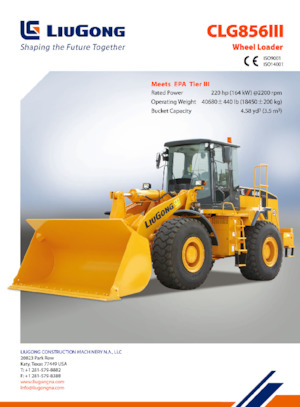 Pale gommate Liugong GLC856 III 