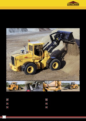 Pale gommate Ljungby L 15