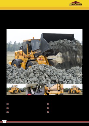 Pale gommate Ljungby L 18