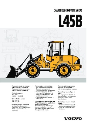 Pale gommate Volvo L 45 BTP