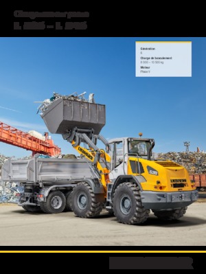 Pale gommate Liebherr L 538