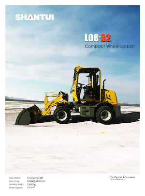 Pale gommate Shantui L08-B2 