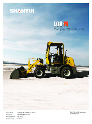 Pale gommate Shantui L08-M 