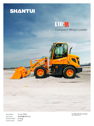 Pale gommate Shantui L10-M 