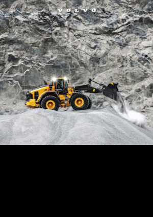 Pale gommate Volvo L180 