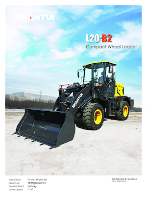 Pale gommate Shantui L20-B2 