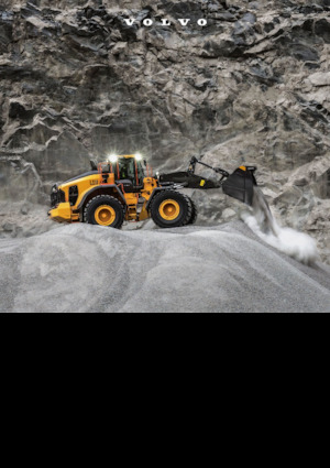 Pale gommate Volvo L220 