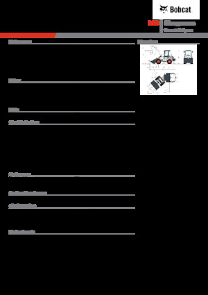Pale gommate Bobcat L23