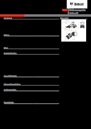 Pale gommate Bobcat L23