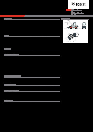 Pale gommate Bobcat L23