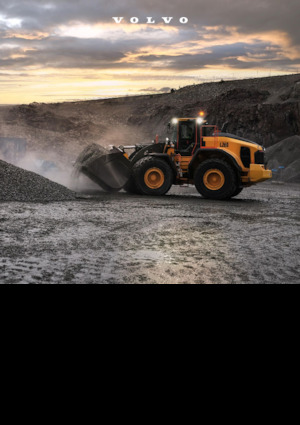 Pale gommate Volvo L260