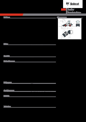 Pale gommate Bobcat L28
