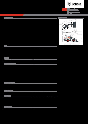 Pale gommate Bobcat L28