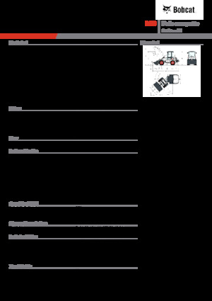 Pale gommate Bobcat L28