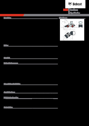 Pale gommate Bobcat L28