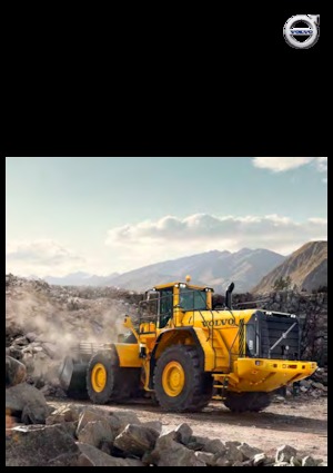 Pale gommate Volvo L350F