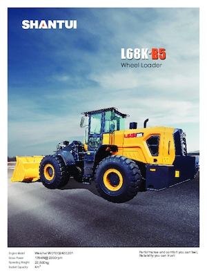 Pale gommate Shantui L68K-B5 
