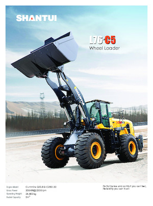 Pale gommate Shantui L76-C5 