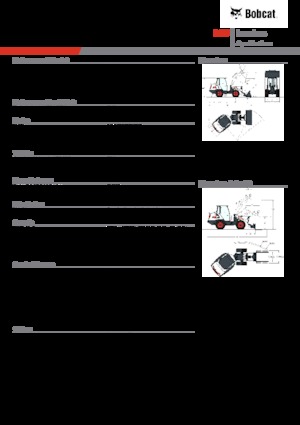 Pale gommate Bobcat L85