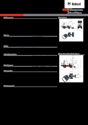 Pale gommate Bobcat L85