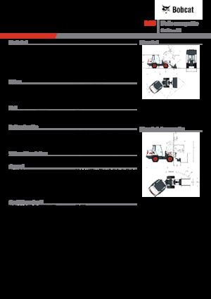 Pale gommate Bobcat L85
