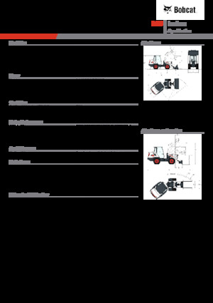 Pale gommate Bobcat L85