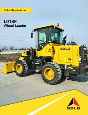 Pale gommate SDLG LG918