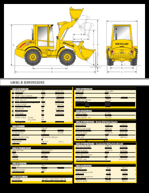 Pale gommate New Holland LW50 B