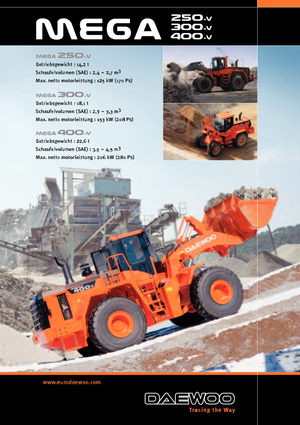 Pale gommate Doosan Mega 250 V