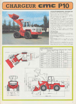Pale gommate CMC P10