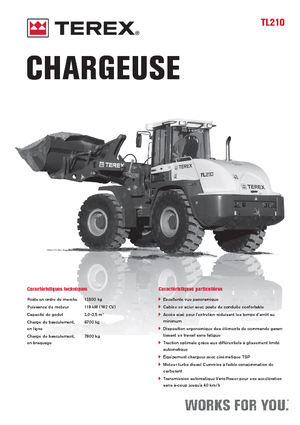 Pale gommate Terex TL 210