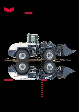 Pale gommate Schaeff TL 260