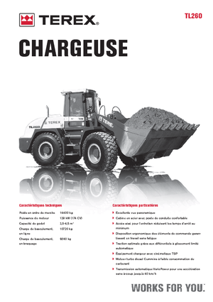 Pale gommate Terex TL 260