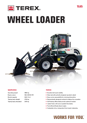 Pale gommate Terex TL 65