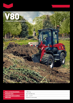 Pale gommate Yanmar V80