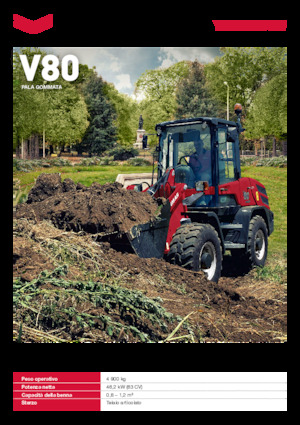 Pale gommate Yanmar V80