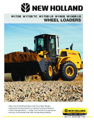 Pale gommate New Holland W 170 B LR