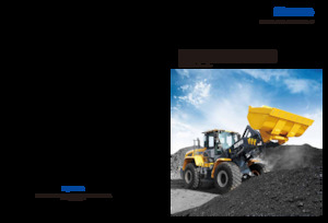 Pale gommate XCMG XC948