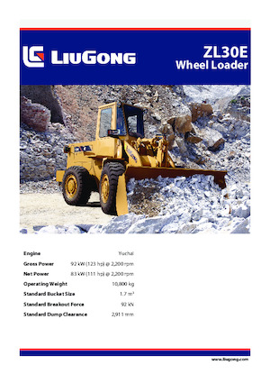 Pale gommate Liugong ZL30E 